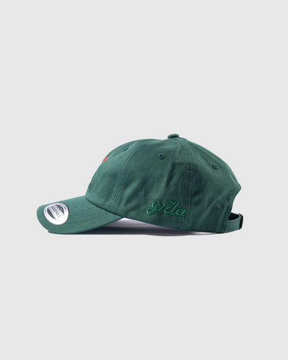 Green Georgia Bear Dad Hat