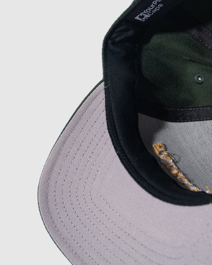 Prospective Members Snapback